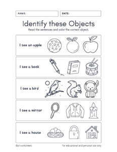 Identify Common Objects