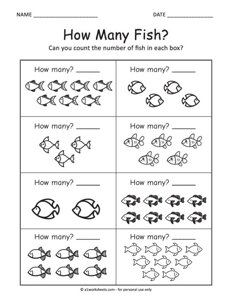 How many Fish?