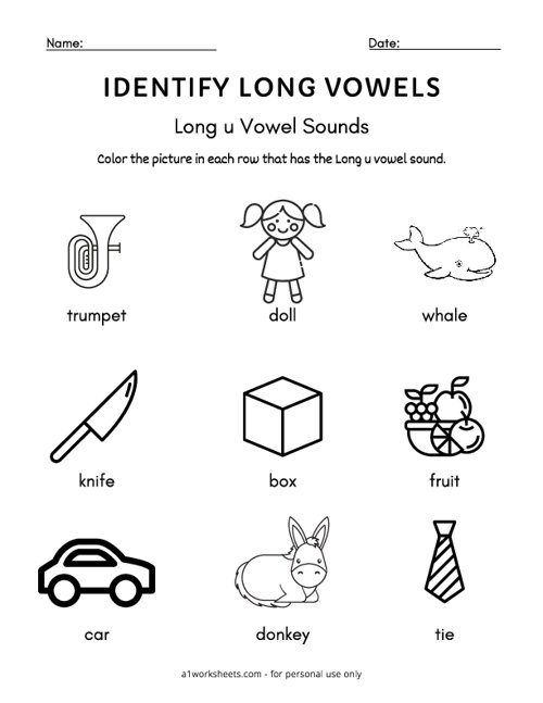 Long U - Find the Long Vowel Worksheet