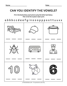 Identifying the Vowels Worksheet #1