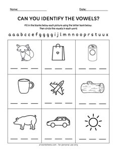 Identifying the Vowels Worksheet #2