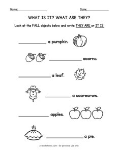 What are They What is It Worksheet #1
