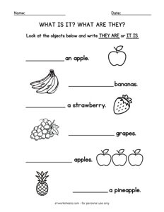 What are They What is It Worksheet #2