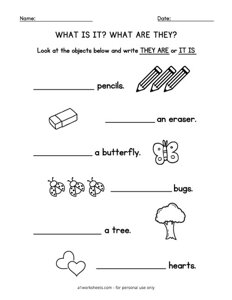 What are They What is It Worksheet #4
