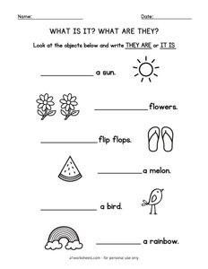 What are They What is It Worksheet #5