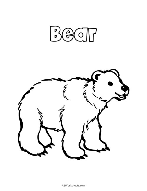 Free Printable Bear Coloring Page for Kids