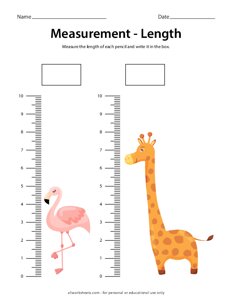 Giraffe Flamingo Length Measurement