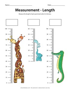 Measurement - Animals Length